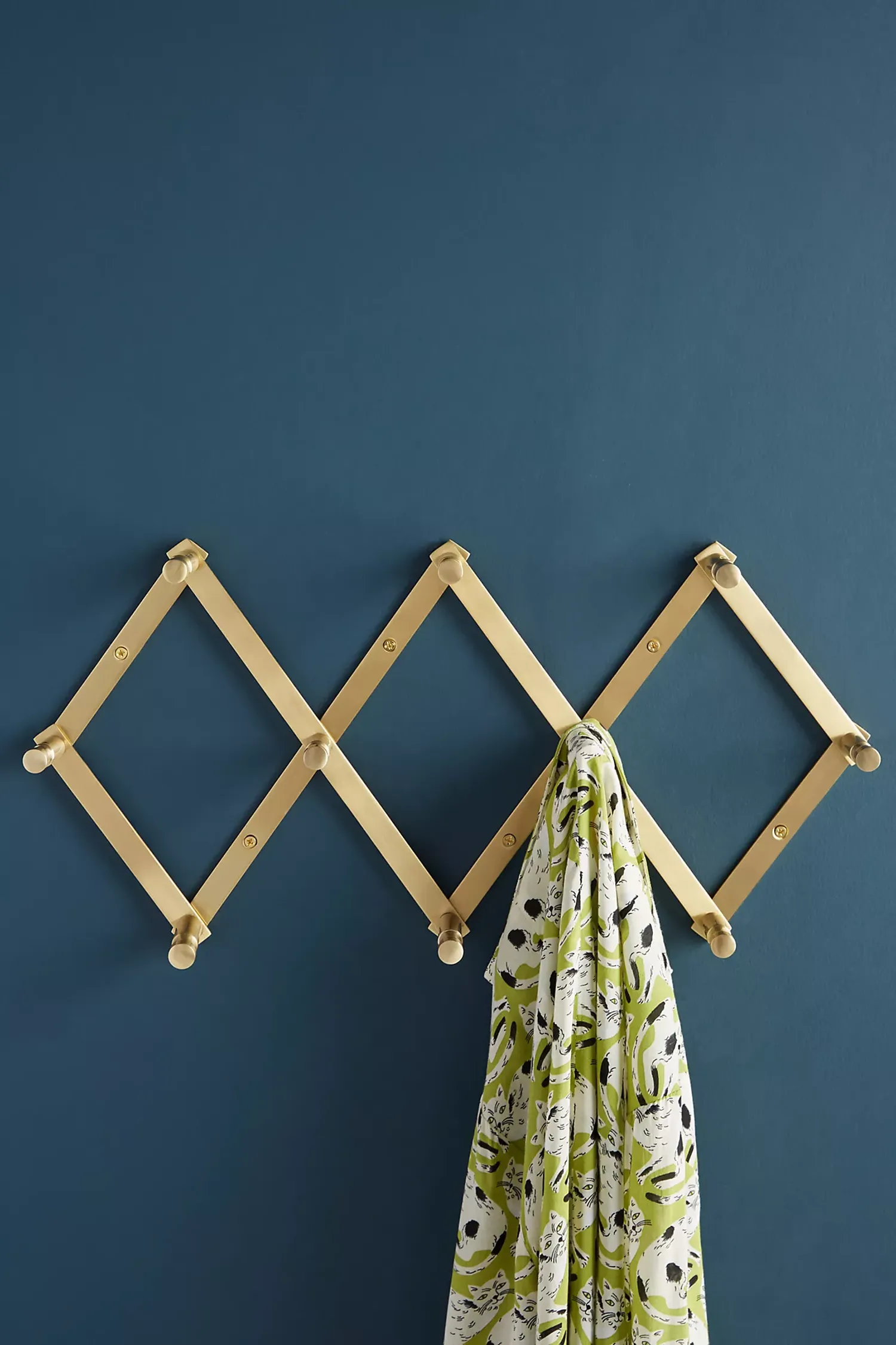 Shop Anthropologie Accordion Hook Rack, Brass from Anthropologie on Openhaus